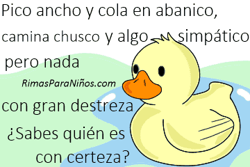 rima de pato escolar